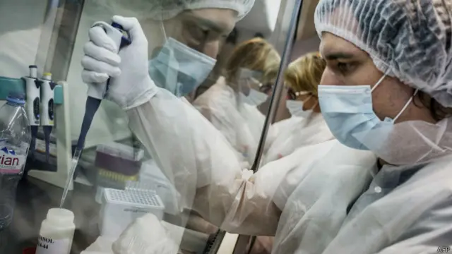 اس تحقیقی ٹیم نے سوروں نے پٹھوں کی پروٹین کا معائنہ کیا کیونکہ ان کے پٹھے انسانی پٹھوں سے مماثلت رکھتے ہیں