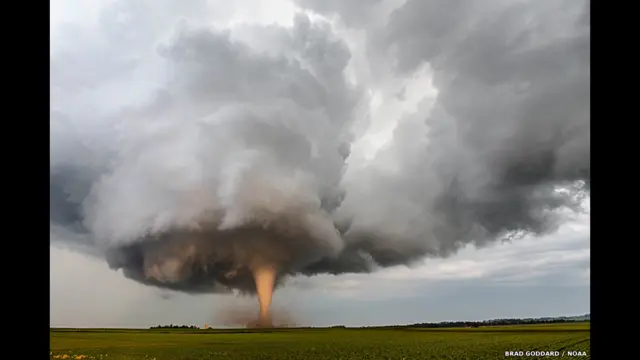 "Торнадо", Брэд Годдард