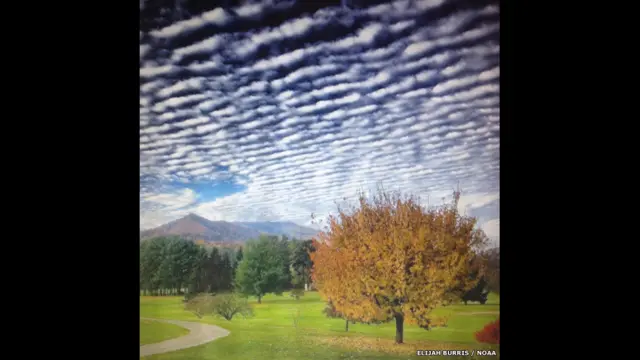 "Смоки-Маунтинс", Элиджа Буррис