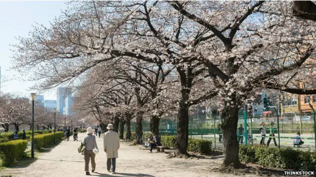 لوگ اکثر جاپان میں ’باعزت خودکشی‘ کی قدیم روایت کو بھی خودکشی کی بلند شرح کو قرار دیتے ہیں