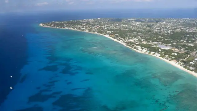 тропические воды