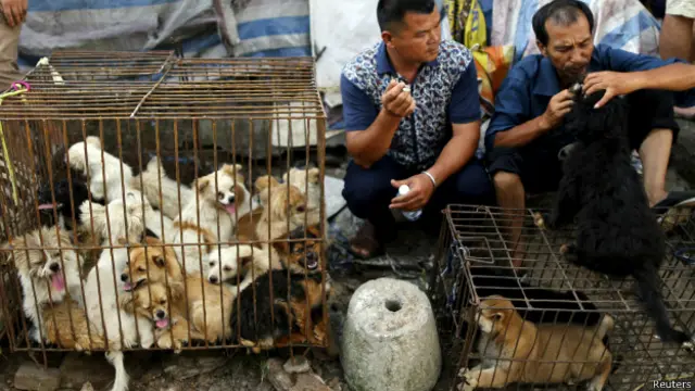 фестиваль собачого м'яса