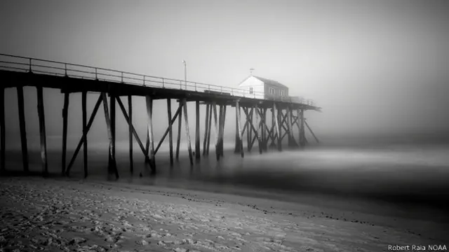 Niebla en verano - Robert Raia