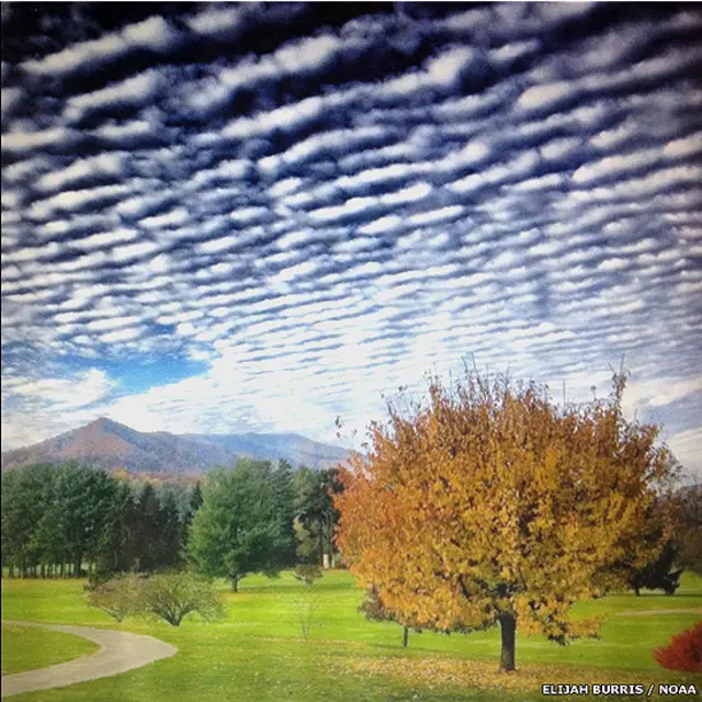 Montañas Humeantes - Elías Burris