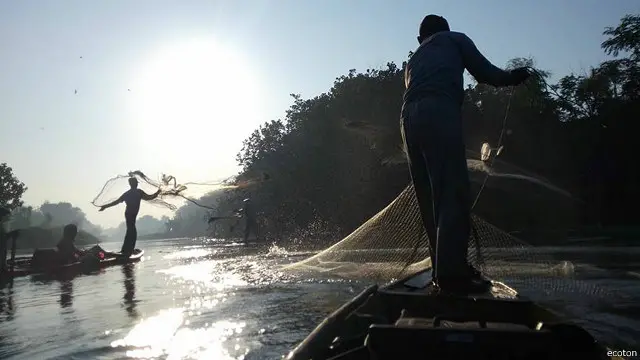 Diawali keprihatinan dan kegelisahannya terhadap nestapa pohon bakau di pesisir Surabaya, dia dan kawan-kawannya yang memiliki kepedulian yang sama tiba pada kesimpulan bahwa masalah besarnya ada pada sungai Surabaya.