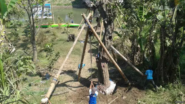 LSM Ecoton juga melakukan penanam di bantaran sungai Surabaya. Mereka misalnya memindahkan sejumlah pohon asem yang hendak dirobohkan untuk pelebaran jalan. 