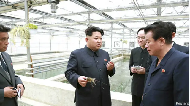 کیم جونگ اون مدیریت واحد پرورش لاک پشت را مسئول مشکلات این واحد دانست