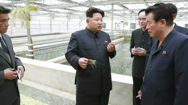 May ayında fermaya Şimali Koreya lideri baş çəkmişdir.