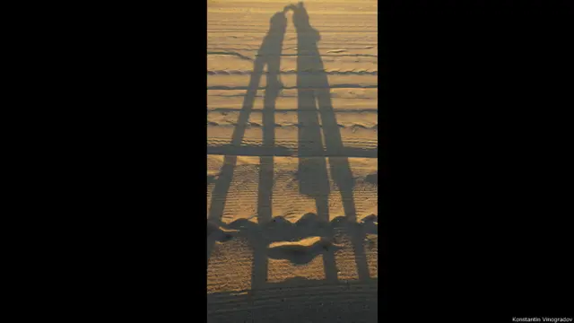 "Линии" Константин Виноградов