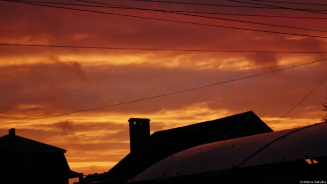 "Линии" Светлана Вакулка