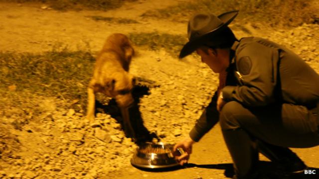 Teniente Andrey Pinzón Trujillo alimentando a un perro