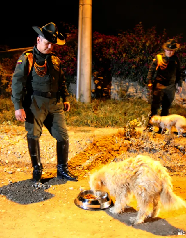Otros policías alimentando perros