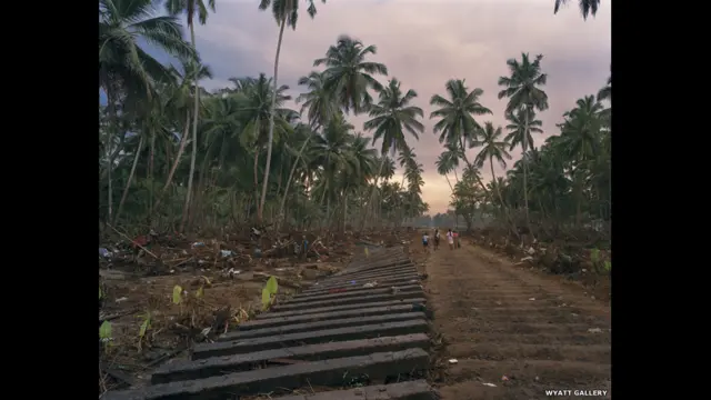 वियाट गैलरी, सुनामी