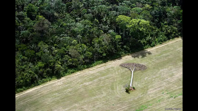 डेनियल बेल्ट्रा