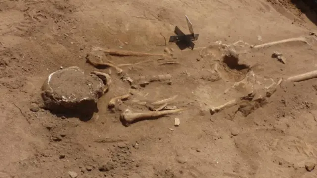 ත්රිකුණාමලයේ සමූහ මිනීවළක තිබී හමු වූ මිනිස් ඇටසැකිල්ලක්