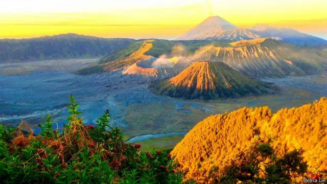 bromo