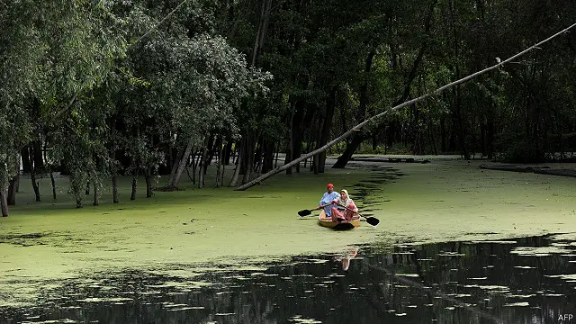 اس ریکارڈ کی تصدیق کرنے کے لیے لمکا بُک آف ریکارڈز کے مبصرین بھی وادی میں موجود ہیں(فائل فوٹو)