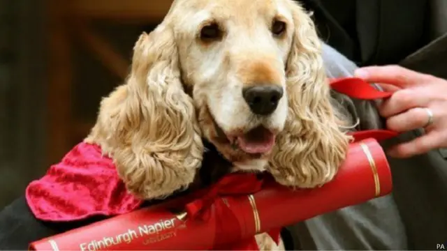 फ़ज नामक कुत्ता, एडिनबरा, ब्रिटेन