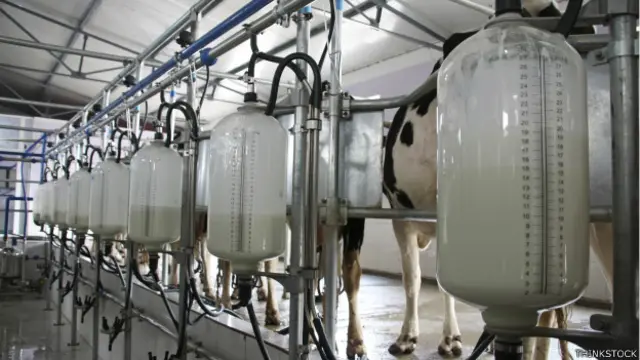 Producción industrial de leche