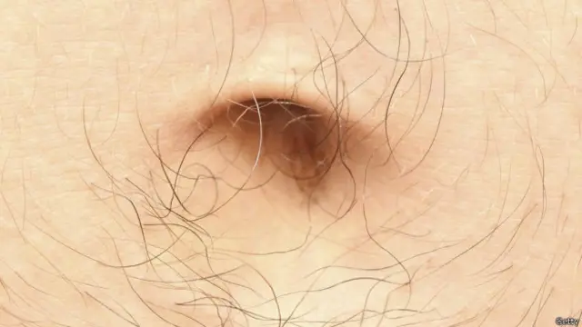 Un ombligo peludo