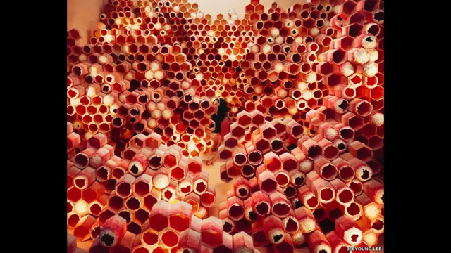 "Этого мало", Ли Янг Ли.