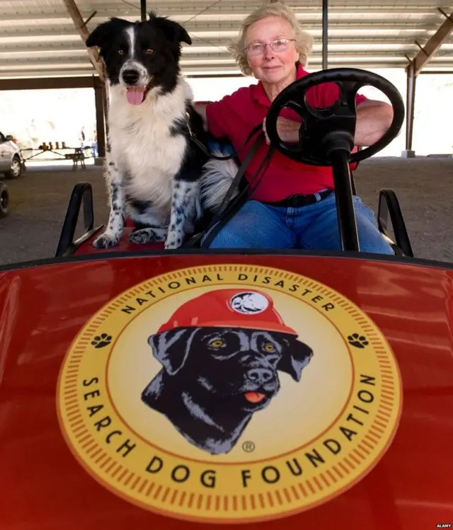 威尔玛·梅尔维尔