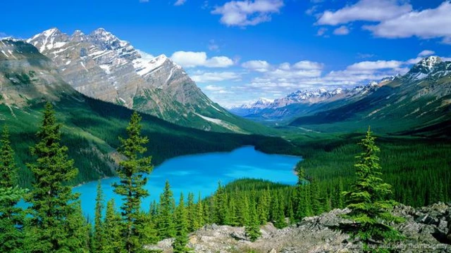 班芙国家公园(Banff National Park)和沛托湖(Peyto Lake)风景(图片来源:Ron and Patty Thomas/Getty)
