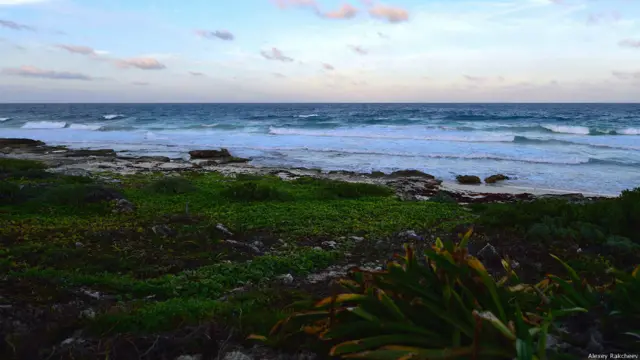 Фото Алексея Ракчеева