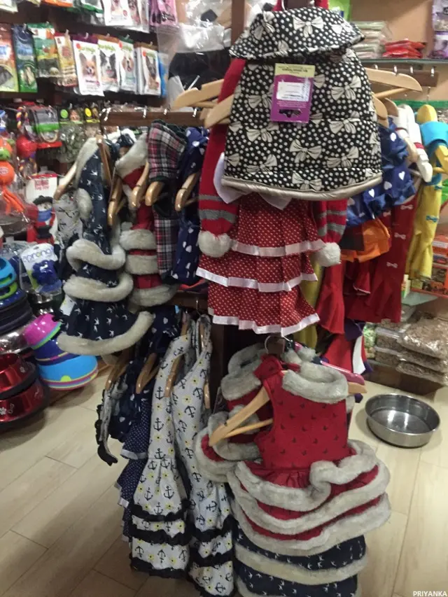 डॉग पार्लर