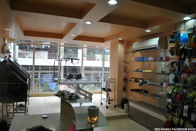 डॉग पार्लर, रेड पॉज़