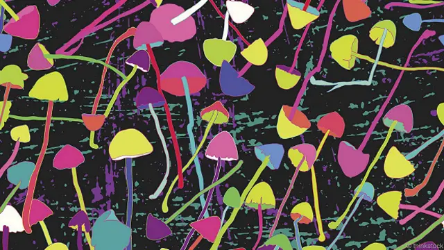 Волшебные грибы