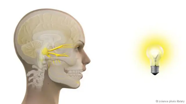 Possível ligação nervosa entre olhos e nariz poderia explicar reflexo