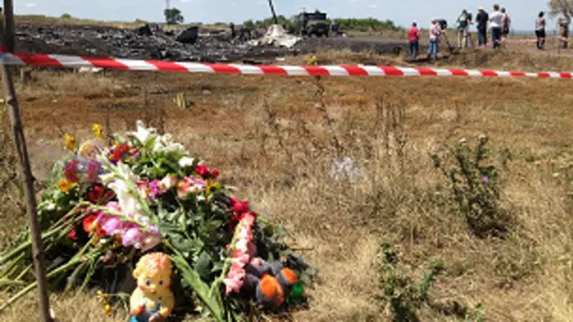 mh17