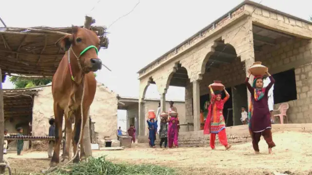 وکیو خاصخیلی کا کہنا ہے کہ انھیں ایک کلومیٹر دور سے میٹھا پانی لانا پڑتا تھا