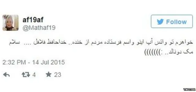 ’میں اپنی بہن کی بات پر خوب ہنسی۔ بائی بائی فلافل، ویلکم میکڈونلڈز‘ 