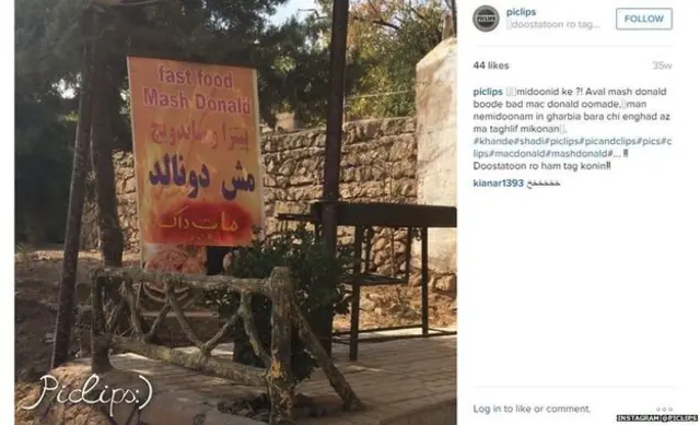 मैश डोनल्ड