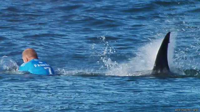 Ataque a Mick Fanning foi transmitido ao vivo durante torneio de surfe