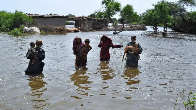 سیلاب سے متاثرہ گھروں کی تعداد 4517 ہے: این ڈی ایم اے