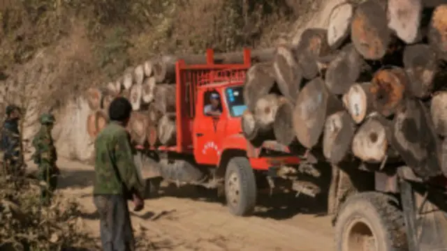 သစ်ခိုးခုတ်မှုနဲ့ တရုတ်နိုင်ငံသား ၁၅၅ဦးကို နှစ်ရှည်ထောင်ဒဏ်ချမှတ်