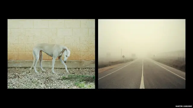 ’ان کتوں کی قدر کم ہو گئی ہے اور ان تصاویر کا مقصد ان کی خوبصورتی اور ورثے کو محفوظ کرتے ہوئے جدید وقت کی بدصورتی کو عکس بند کرنا ہے۔‘