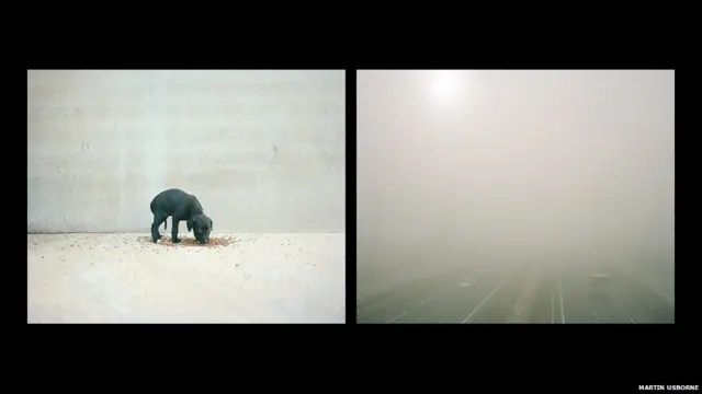 آپ برطانوی فوٹو گرافر مارٹن اوزبورن کی مزید تصاویر ان کی ویب سائٹ www.martinusbome.com پر دیکھ سکتے ہیں۔