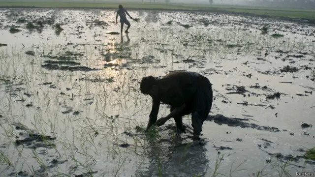 پنجاب میں سیلاب سے متاثرہ علاقوں میں پی ڈی ایم نے 124 امدادی کیمپ لگائے ہیں