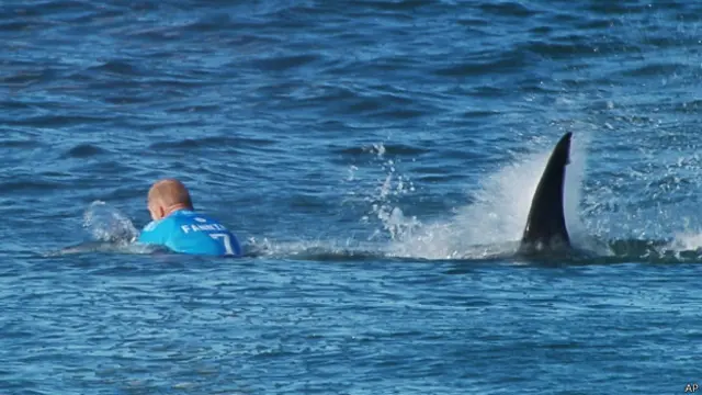 Mick Fanning notó algo a su espalda.