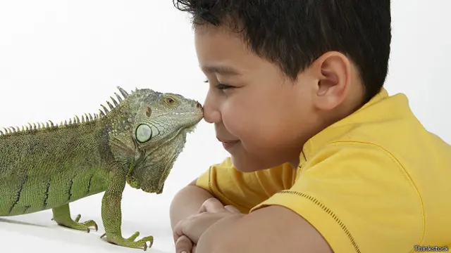 Мальчик и ящерица