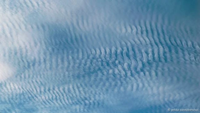 Cielo aborregado