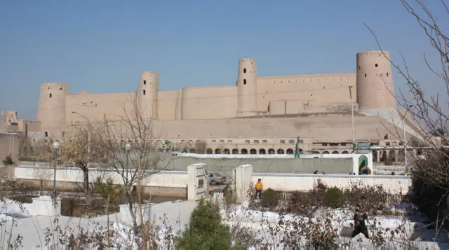 د هرات د پولیسو ویاند عبدالرؤف احمدي بي بي سي ته وویل، دغه سړی د پنجشنبې په ورځ ونیول شو.