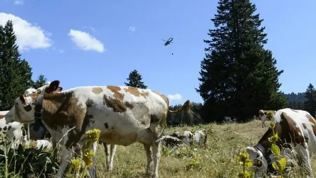 ہیلی کاپٹروں کی پروازوں سے مقامی رہائشی اور جھیل پر آنے والے سیاح بھی پریشان ہو گئے تھے