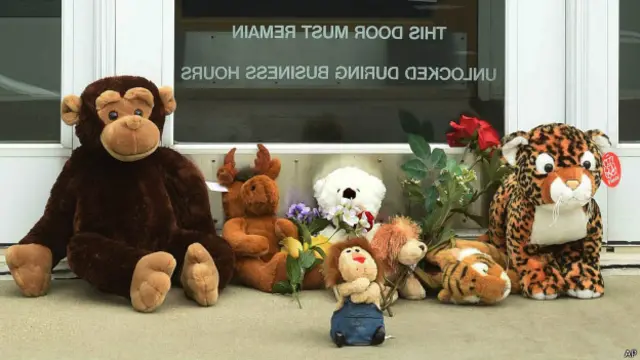 Клініка Палмера