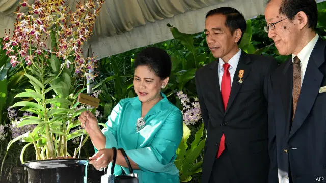 Singapura menamai anggrek di Botanical Garden dengan Dendrobium Iriana Jokowi