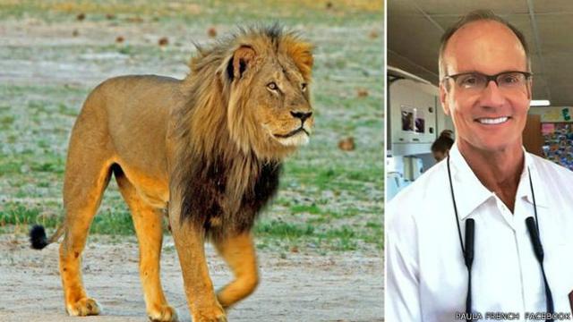 Dentista disse que não sabia que estava cometendo um delito ao matar o leão
